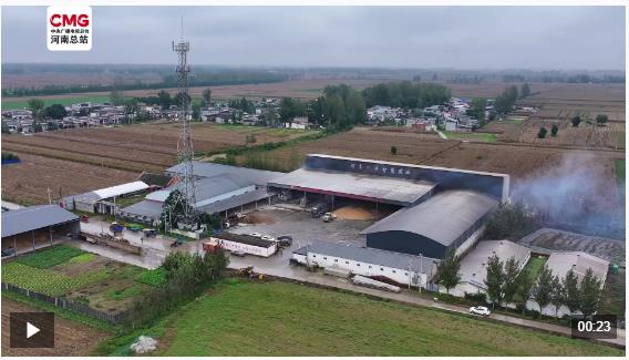 车辆穿梭抢烘忙 昼夜不停保秋粮