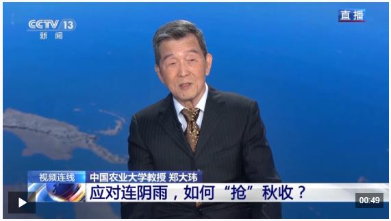 新闻1+1丨应对连阴雨，如何“抢”秋收？