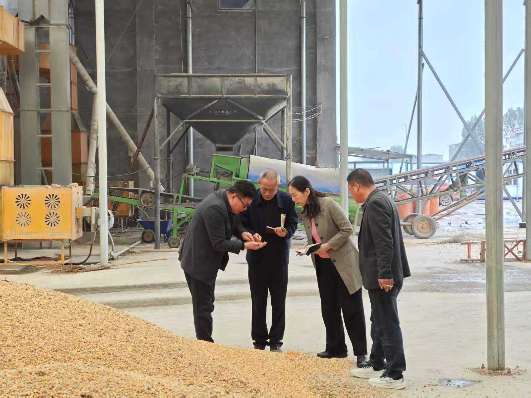 驻马店市供销合作社多措并举护航秋粮收储