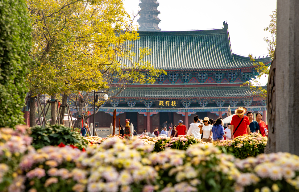 有一种浪漫，叫汴菊！