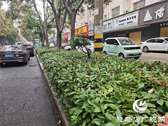  开发区城管理事务中心：修剪绿化带 消除出行隐患