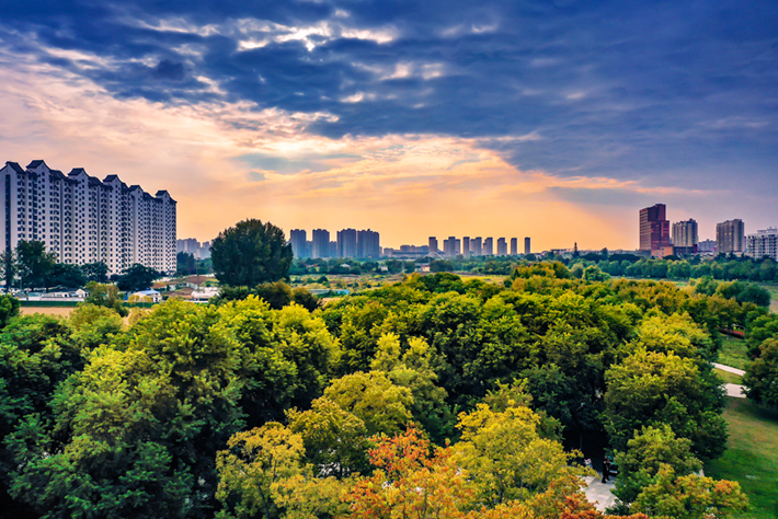 县区动态|草木知秋意 斑斓绘彩卷