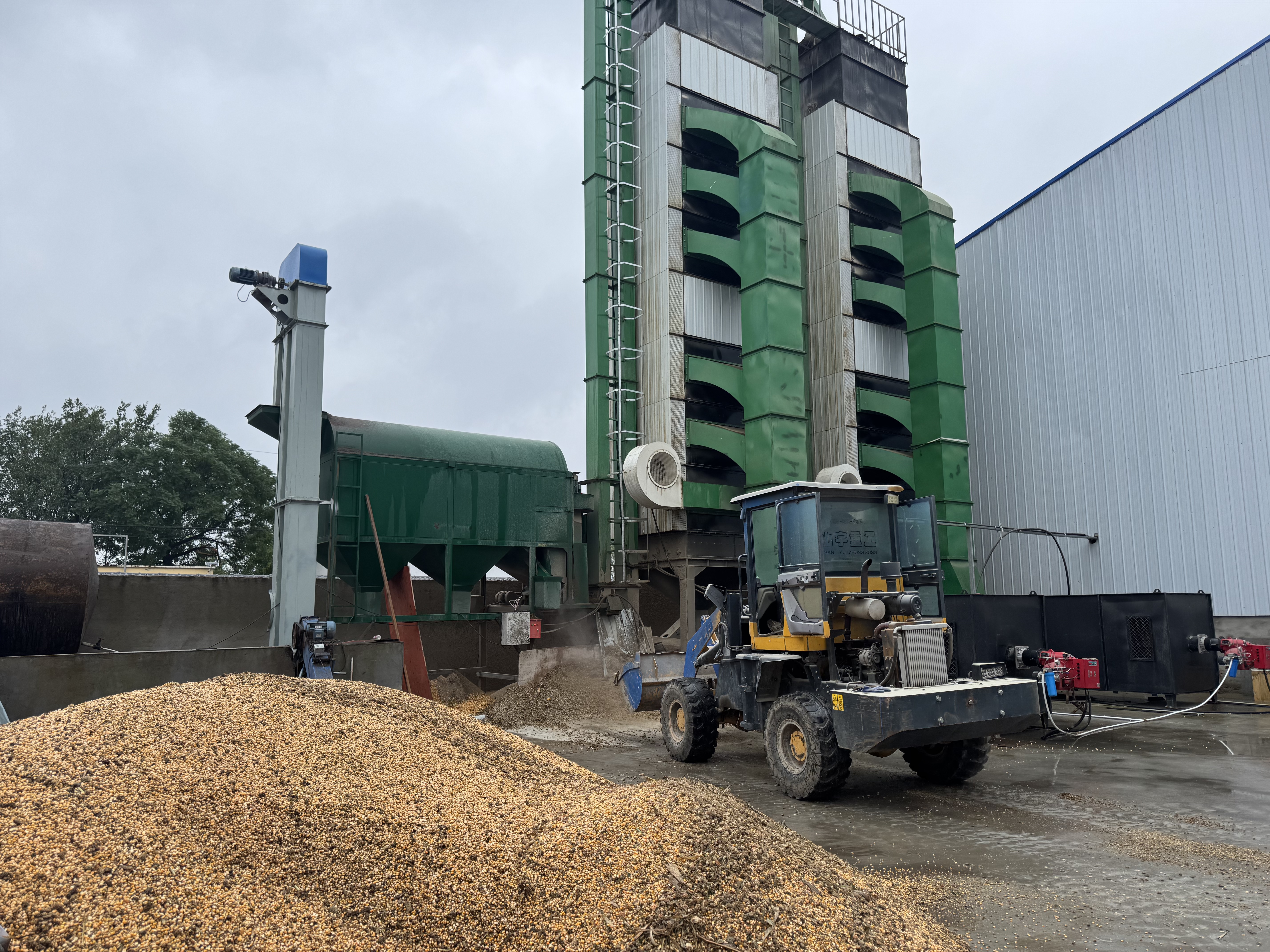 驻马店市供销合作社多措并举护航秋粮收储