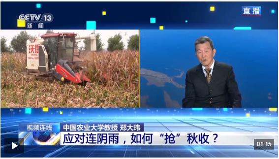 新闻1+1丨应对连阴雨，如何“抢”秋收？
