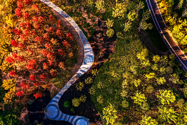 县区动态|草木知秋意 斑斓绘彩卷