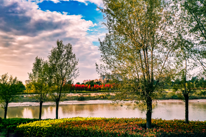 县区动态|草木知秋意 斑斓绘彩卷