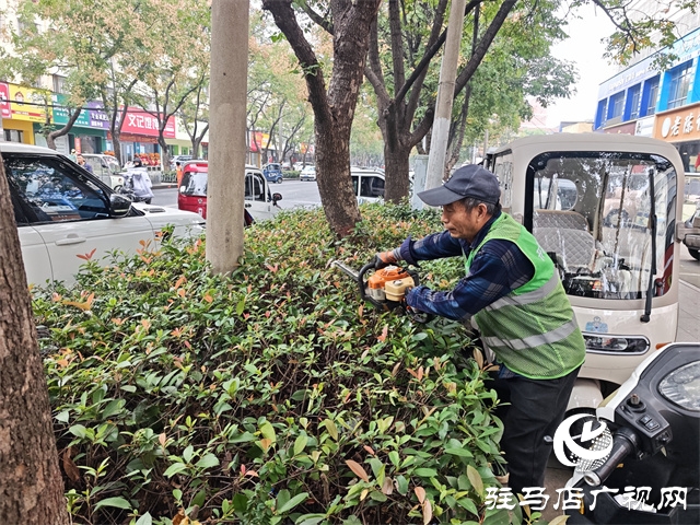  开发区城管理事务中心：修剪绿化带 消除出行隐患
