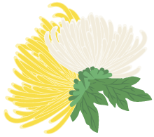 有一种浪漫，叫汴菊！