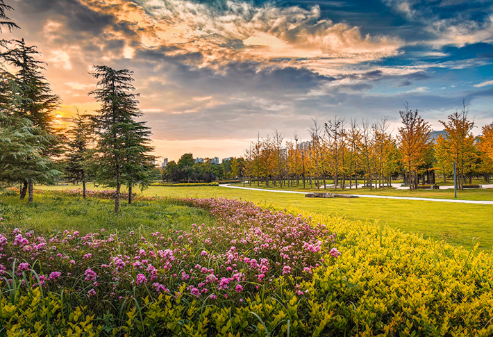 县区动态|草木知秋意 斑斓绘彩卷