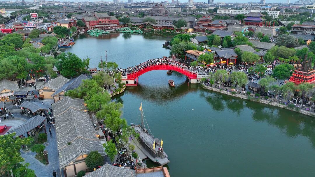 有一种浪漫，叫汴菊！