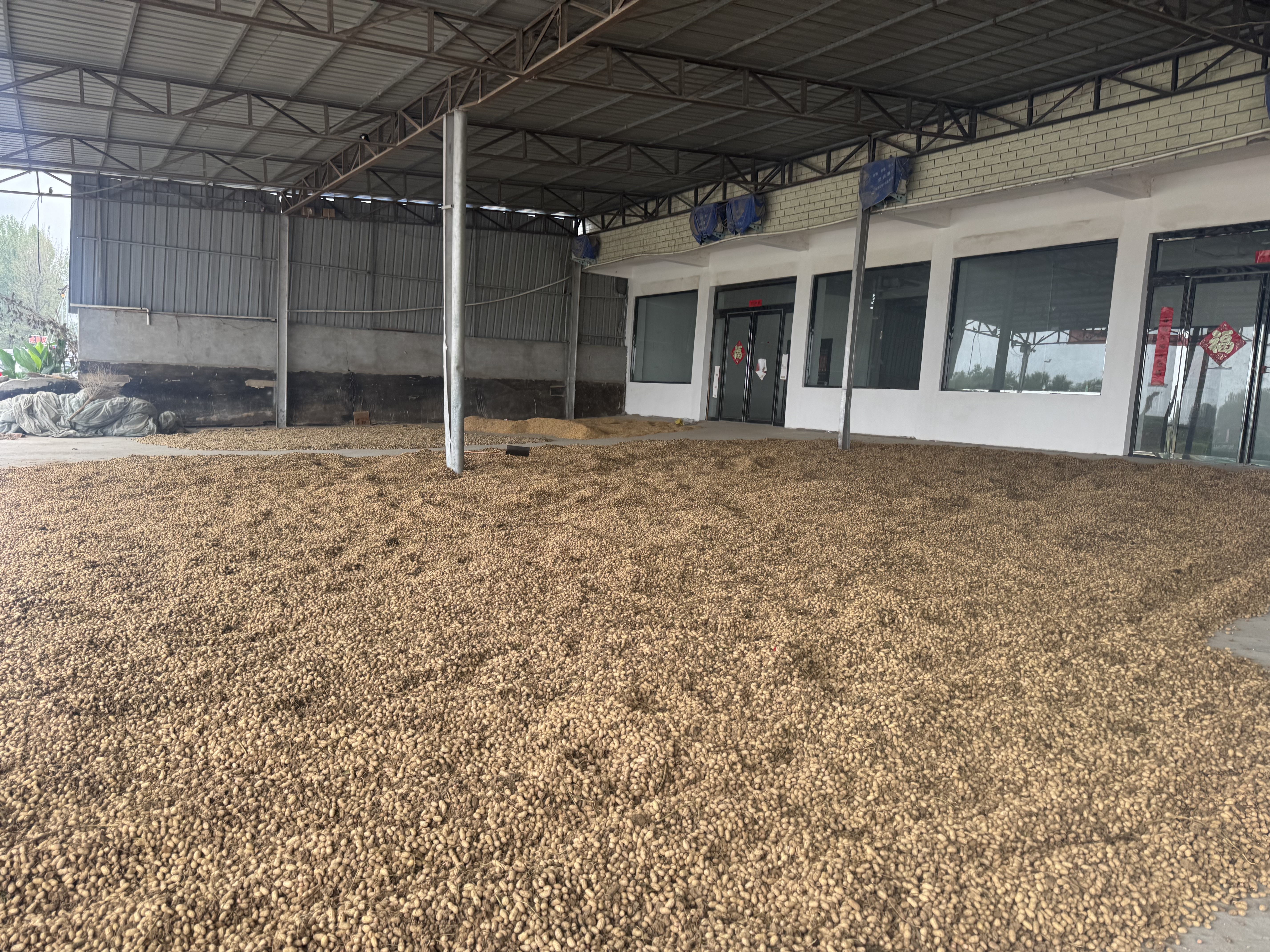 驻马店市供销合作社多措并举护航秋粮收储