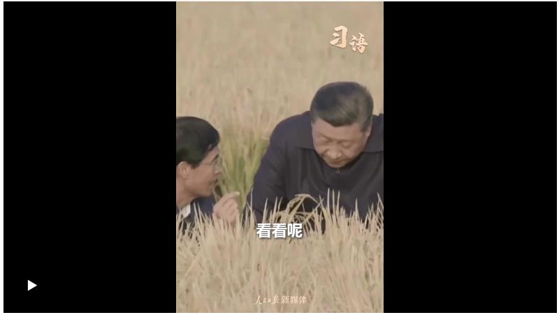 习语｜“始终绷紧粮食安全这根弦”