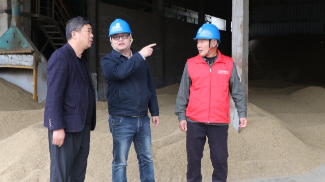 国网正阳县供电公司:服务烘干企业 护航秋粮归仓