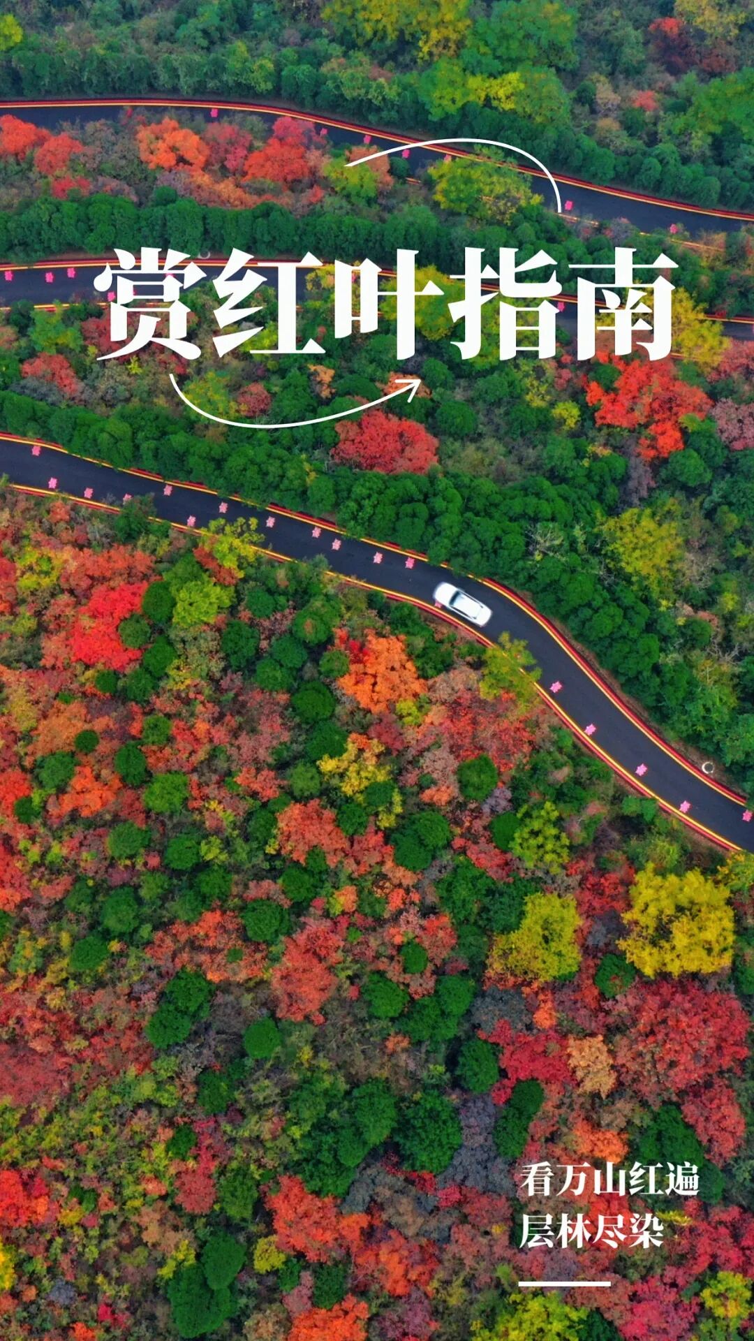 看万山红遍!河南赏红叶指南来啦→