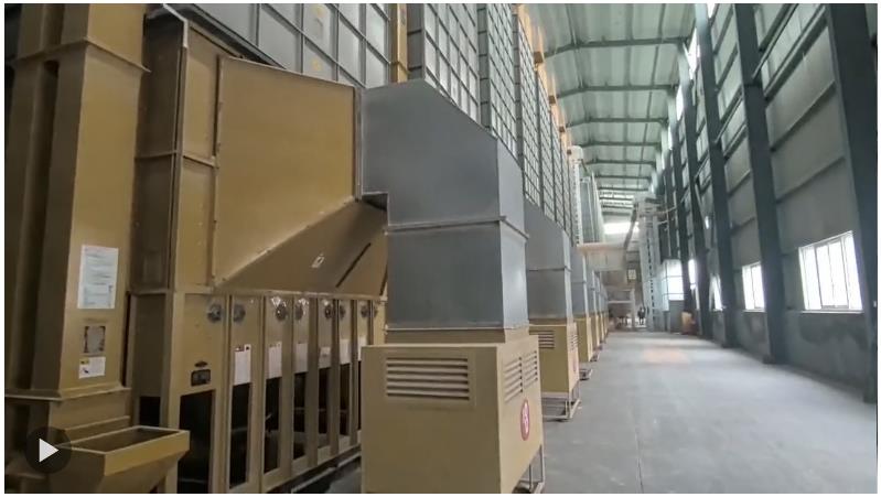 河南“烂秋雨”还没停，秋收情况如何？有哪些解决办法？记者实地走访——