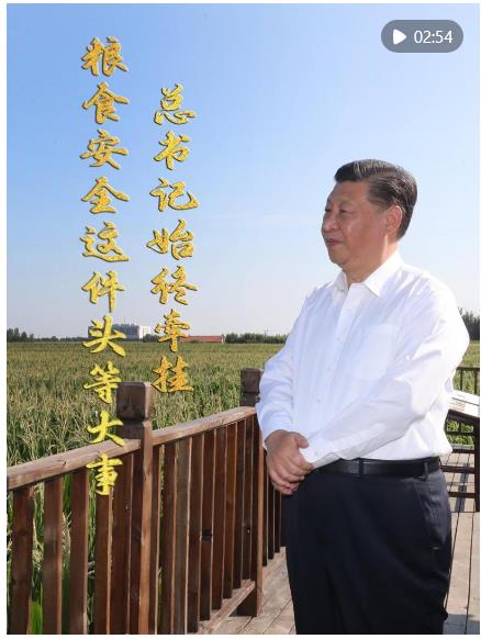 微视频｜粮食安全这件头等大事 总书记始终牵挂