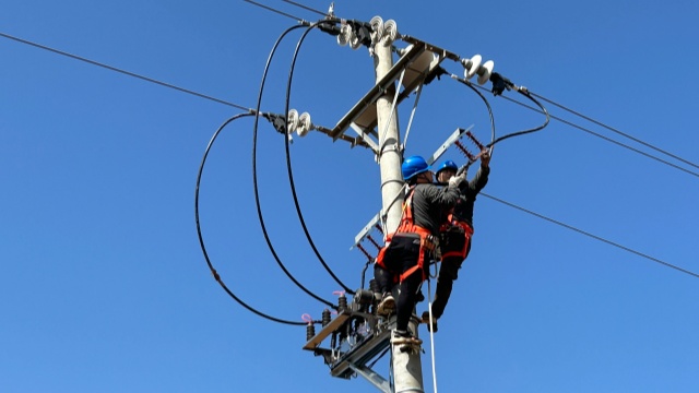 国网泌阳县供电公司：供电“不断档” 民生有保障