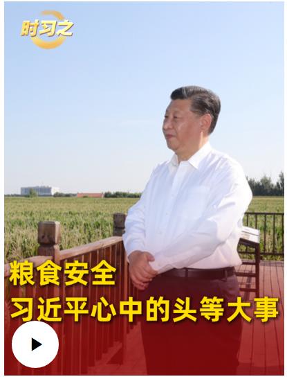 时习之｜粮食安全：习近平心中的头等大事