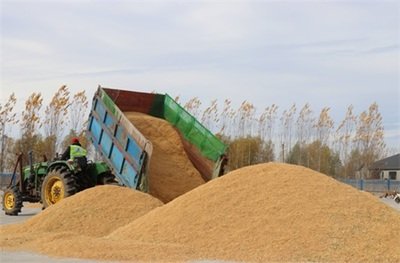 河南多点发力守护秋粮安全