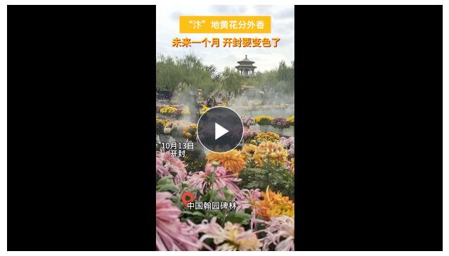 满城尽带黄金甲！八朝古都开封又“变色”了！