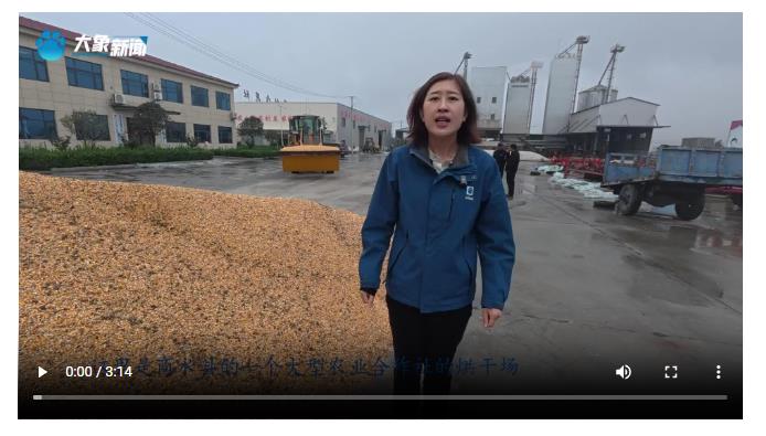 【秋粮五问】二问：湿粮收完如何烘干晾晒？