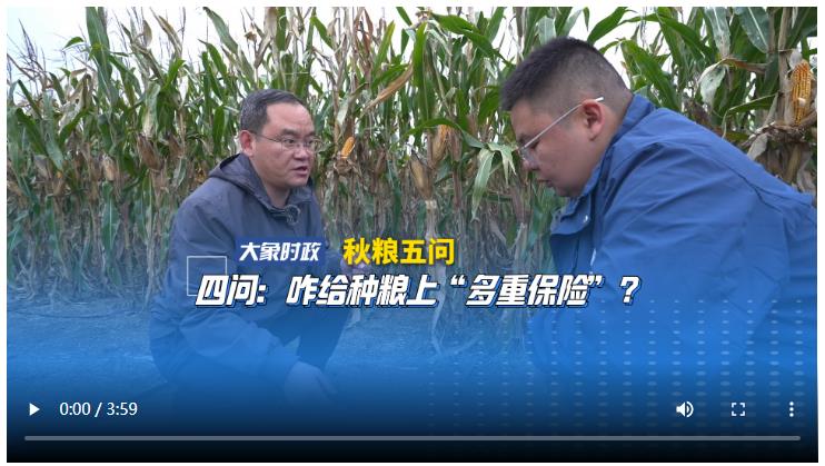 【秋粮五问】四问：咋给种粮上“多重保险”？