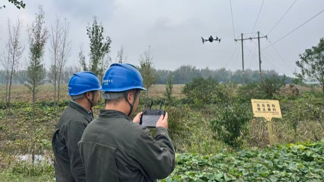 国网新蔡县供电公司：开展供电线路特巡 确保电网安全稳定运行