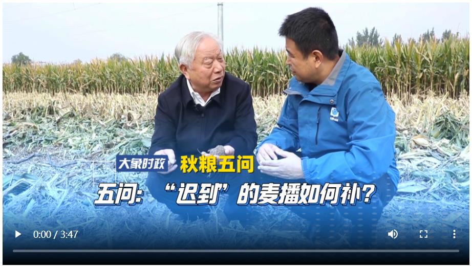 【秋粮五问】五问：“迟到”的麦播如何补？