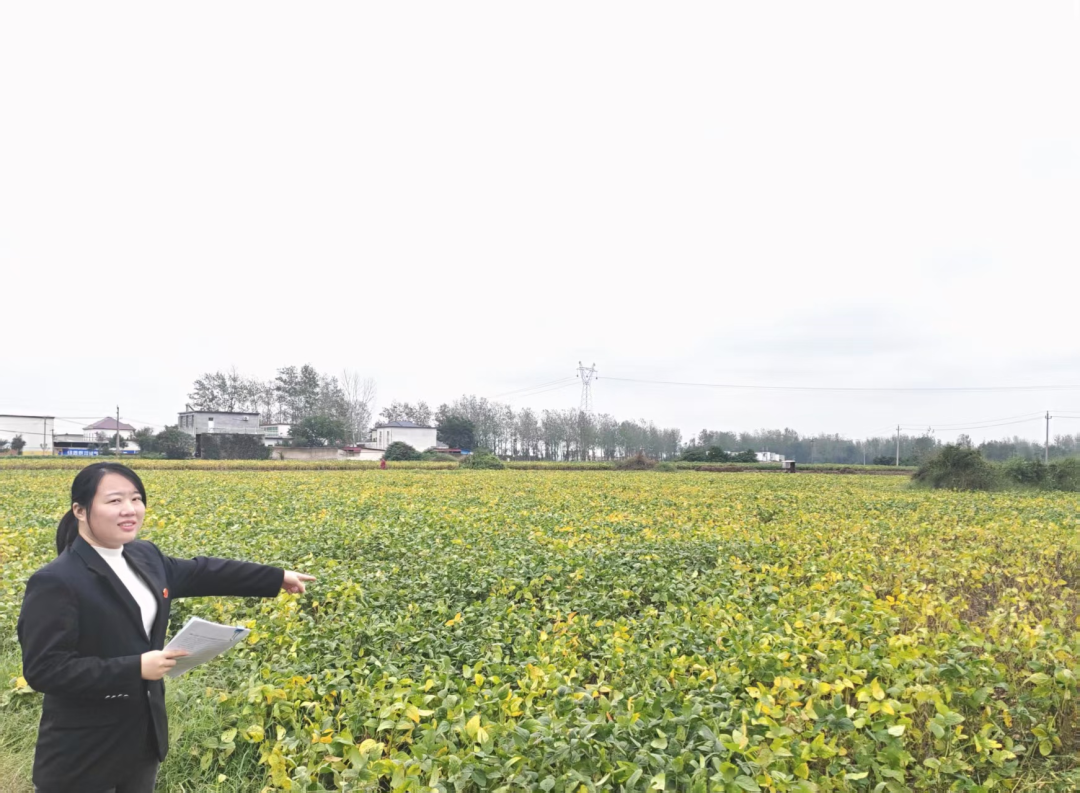 扎根基层法庭的100天:一名法院新人的淬炼之路