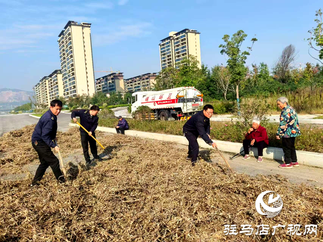 确山县住建局:暖心解民忧 划定专属晾晒区守护秋收