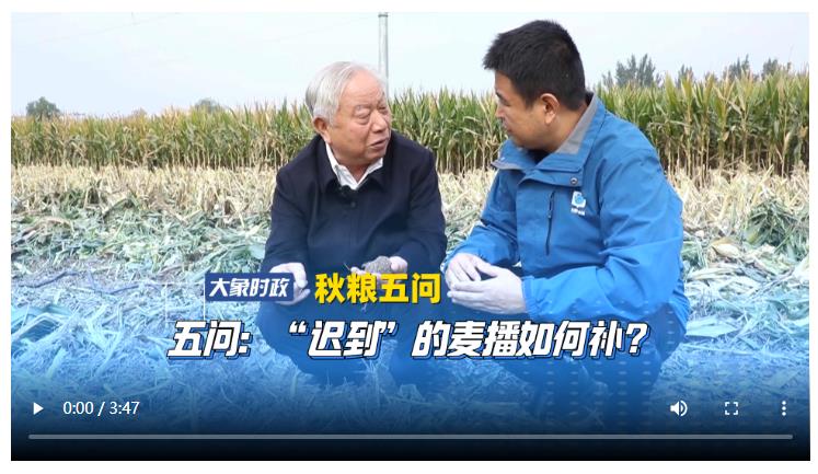 【秋粮五问】五问：“迟到”的麦播如何补？
