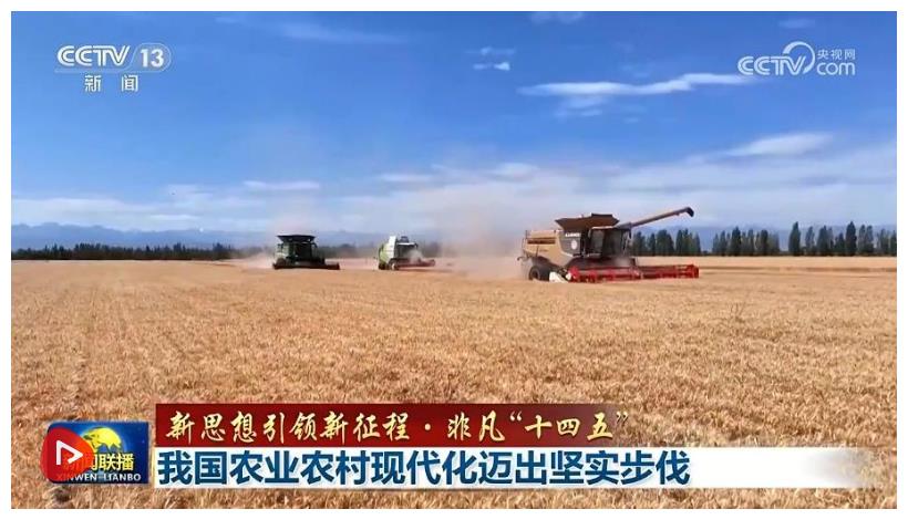 【新思想引领新征程·非凡“十四五”】我国农业农村现代化迈出坚实步伐