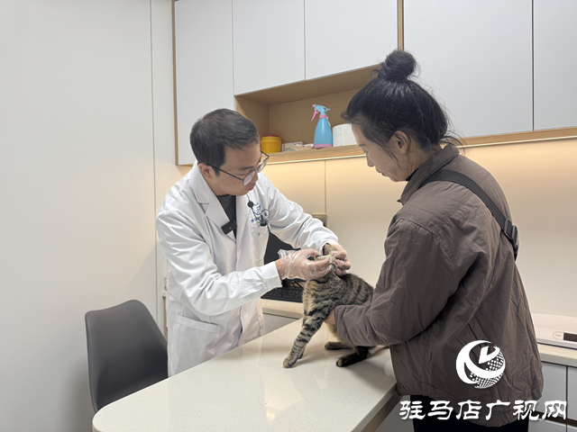 寒冬将至，您的“毛孩子”准备好了吗？——专业兽医详解冬季爱宠养护秘籍