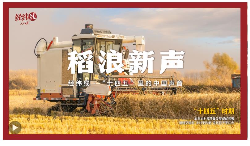 经纬线·稻浪新声（“十四五”里的中国声音）