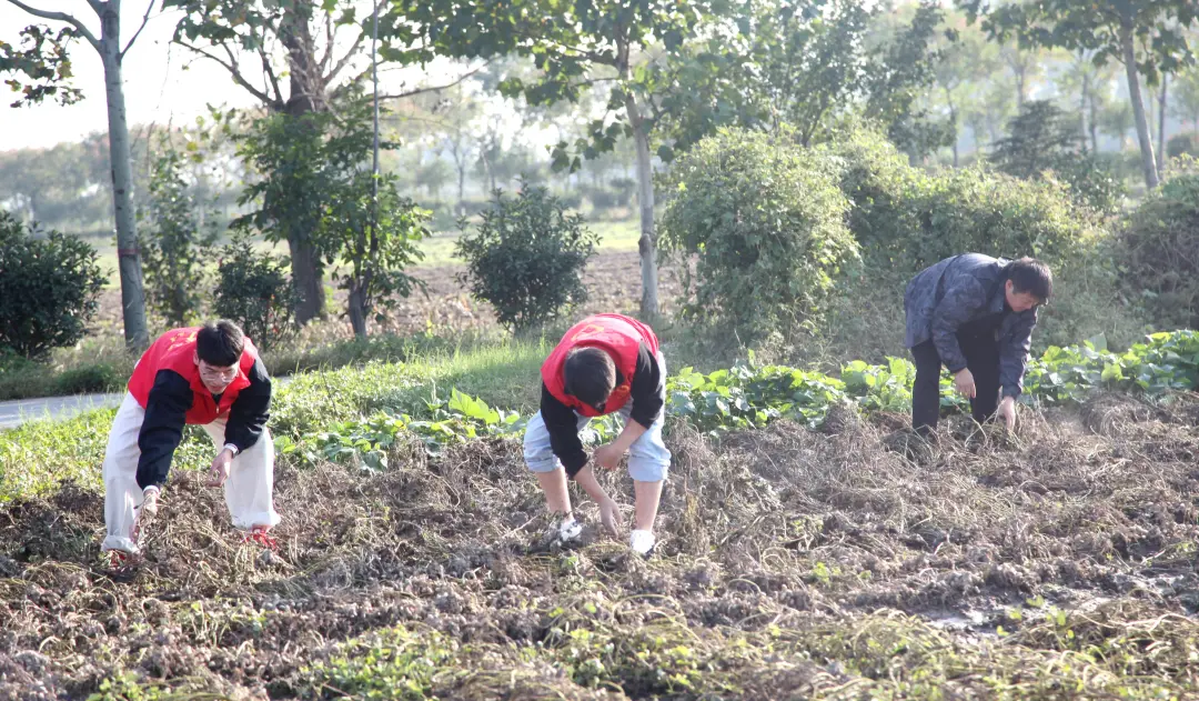 正阳县人民检察院开展“重阳敬老传温情 抢收助农践初心”主题党日活动