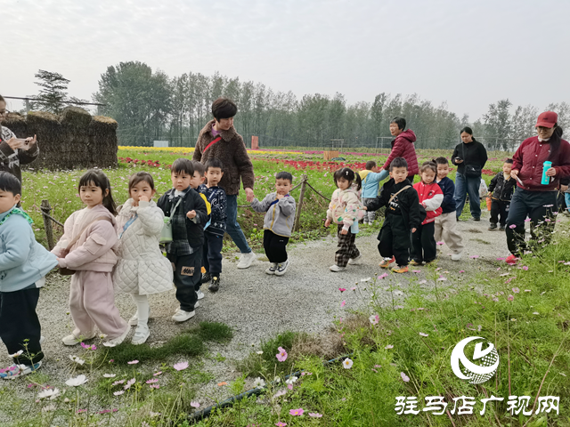 魏庄村“天边花海”即将开园 两百亩花田绘就秋日乡村画卷