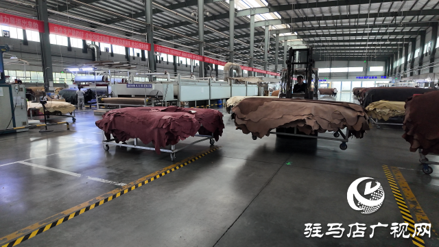 中牛实业:向“新”逐“绿” 促进企业高质量发展