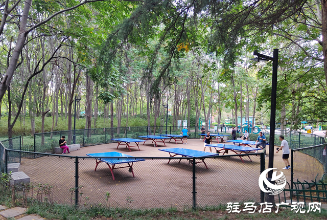 “十四五”期间驻马店园林绿化提质升级 550公顷新增绿地打造宜居城市