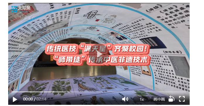 传统医技“满天星”齐聚校园！“师带徒”传承非遗精髓丨中意中国 一草一世界
