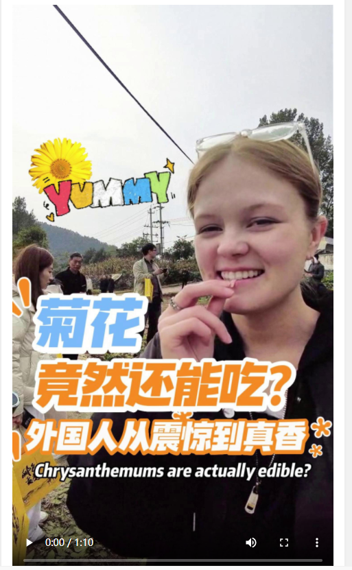 河南让老外知道菊花竟然还能吃