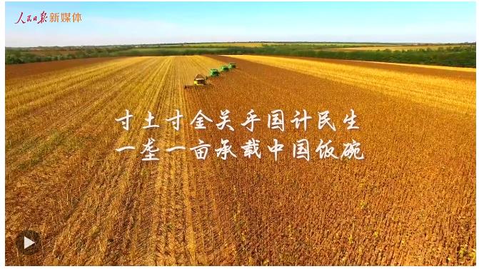 总书记的关切·落地的回响 | 保护黑土地 大国粮仓更稳固