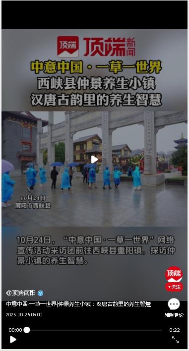 中意中国·一草一世界|仲景养生小镇：汉唐古韵里的养生智慧