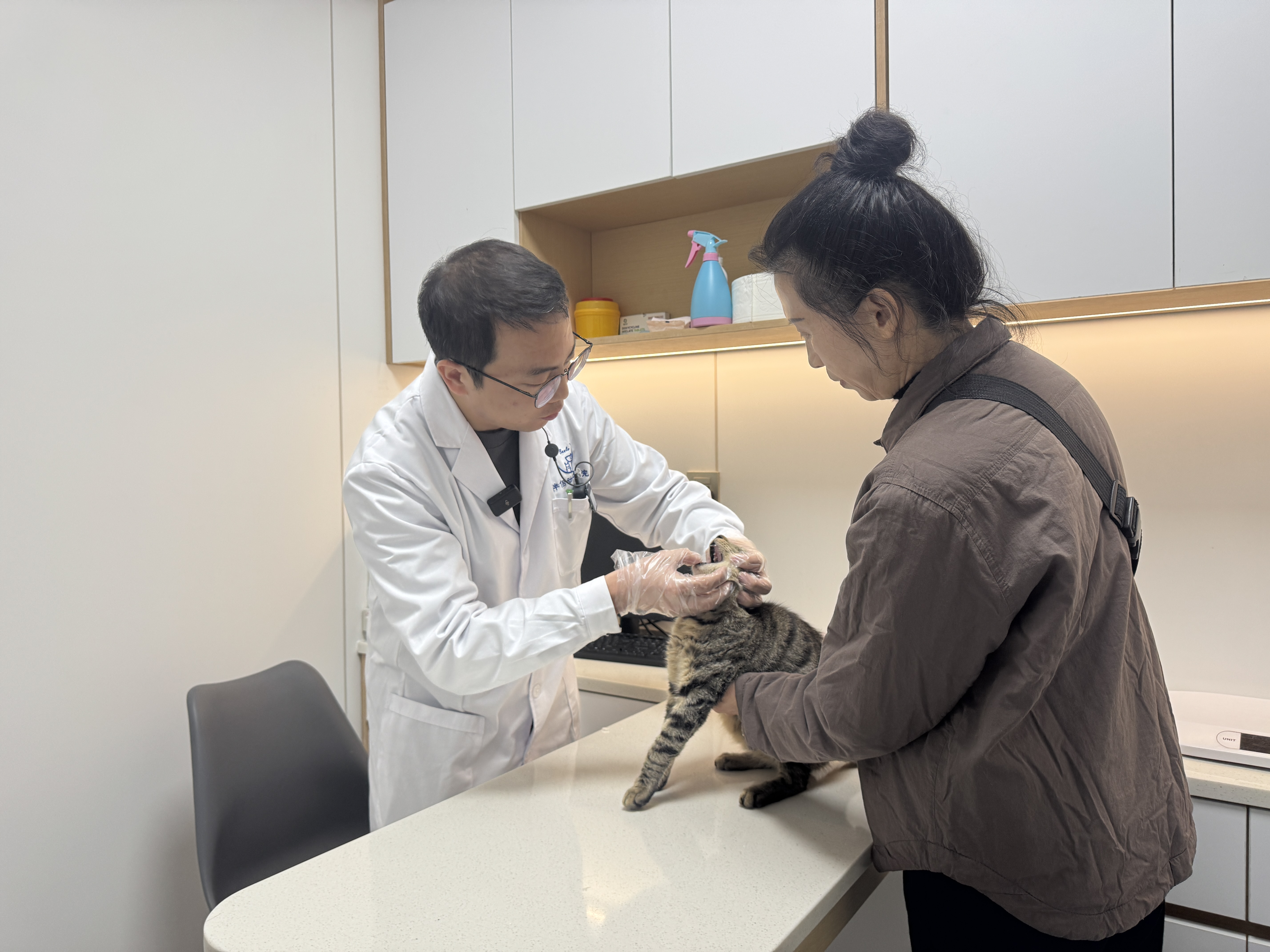 冬季爱宠养护秘籍