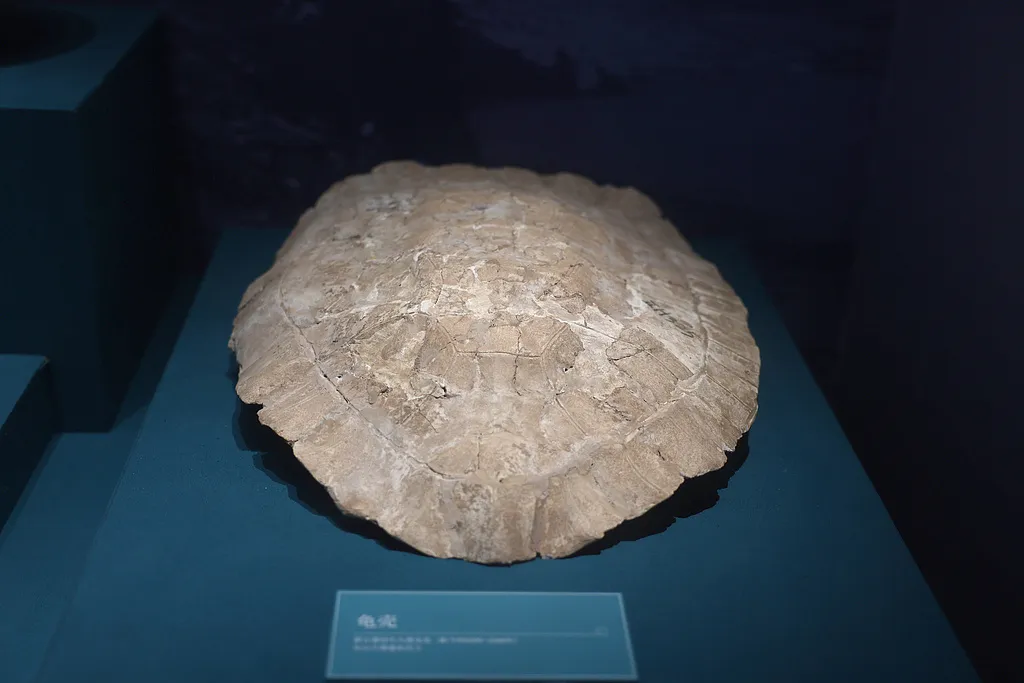 移动“锅架子”上 藏着长江流域大溪先民的生活日常