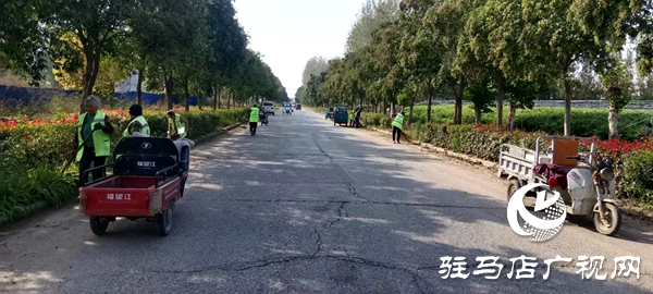 平舆县射桥镇：环境整治“动起来” 镇域颜值“焕新颜”
