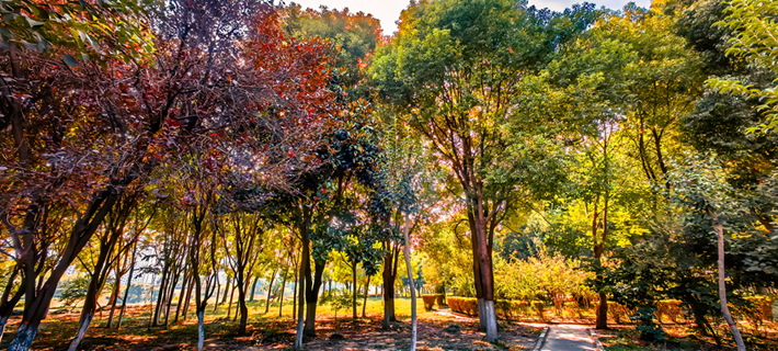 县区动态 | 秋日晴光好 斑斓入画来