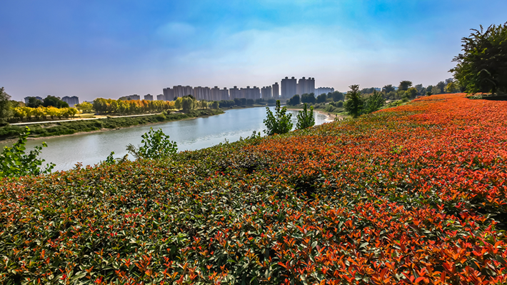 县区动态 | 秋日晴光好 斑斓入画来