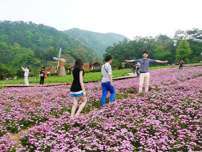 前三季度国内居民出游人次49.98亿