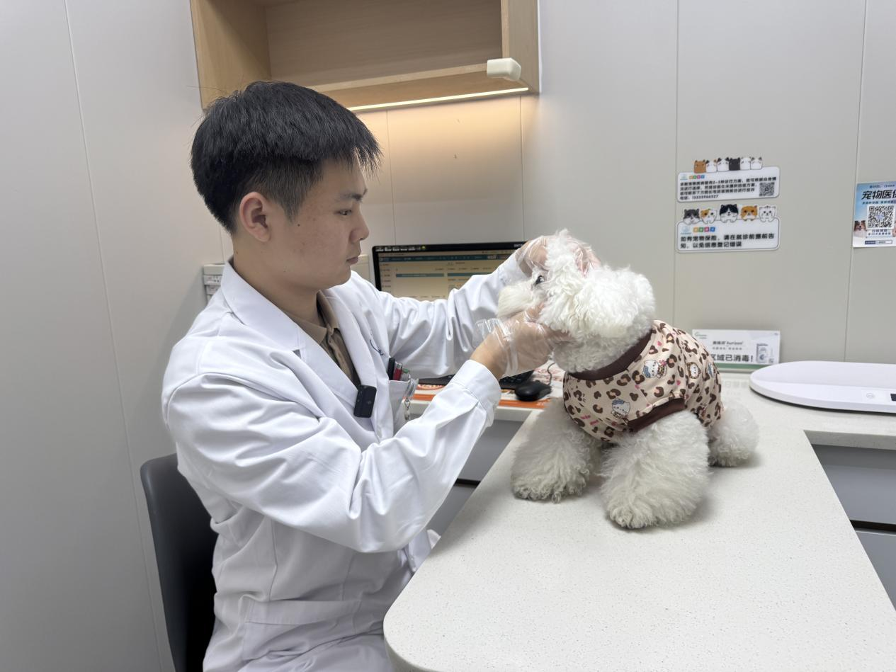 冬季爱宠养护秘籍