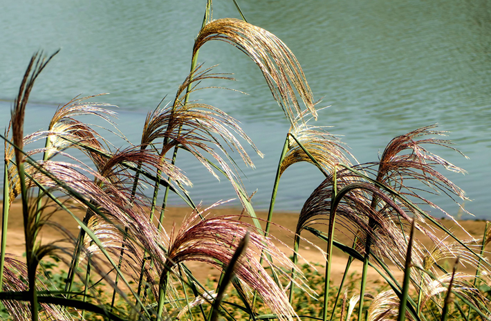 县区动态 | 秋日晴光好 斑斓入画来